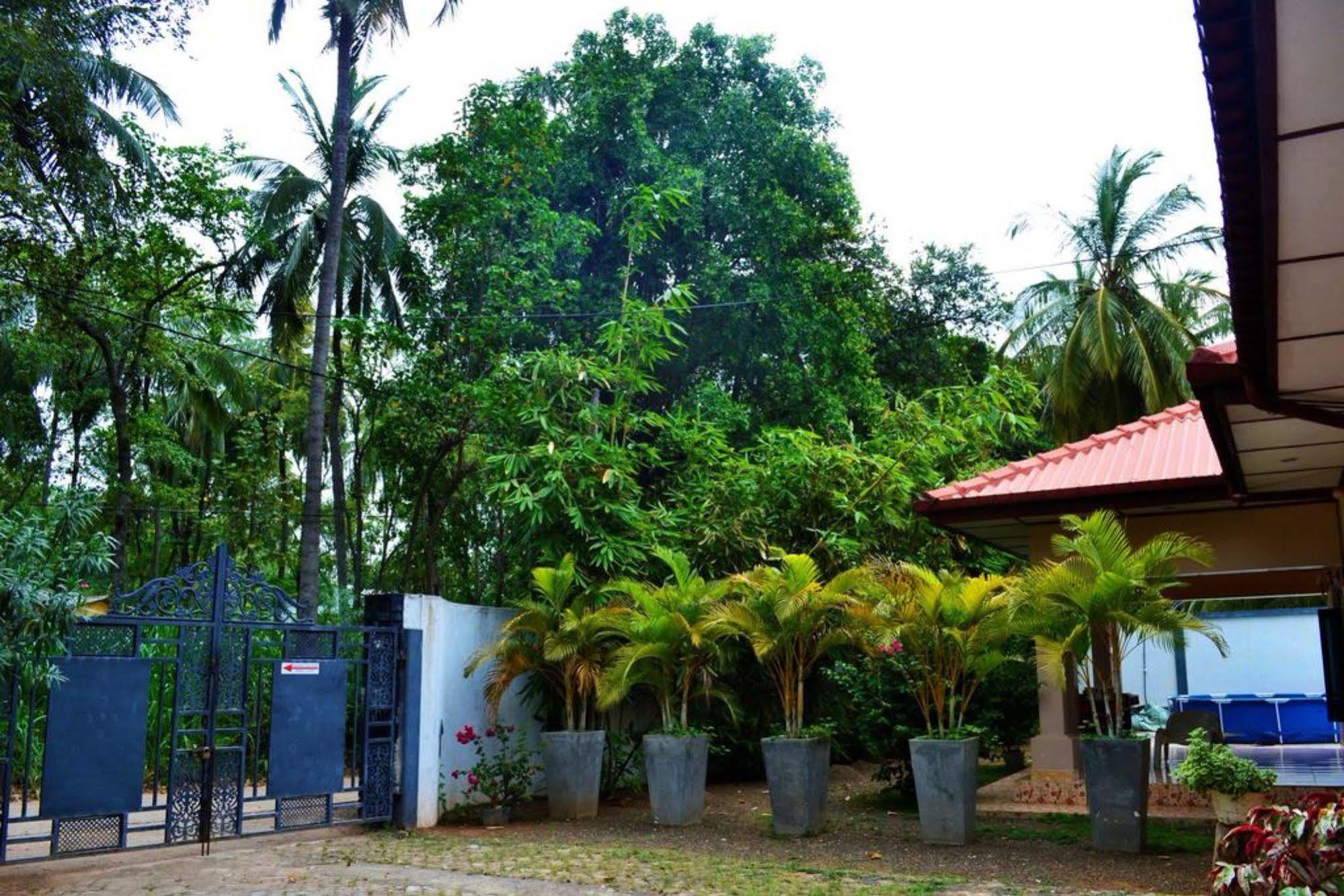 Dambulla City Hostel 外观 照片